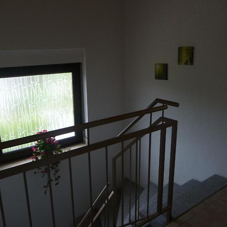 Pension Andrea Lugau Luaran gambar